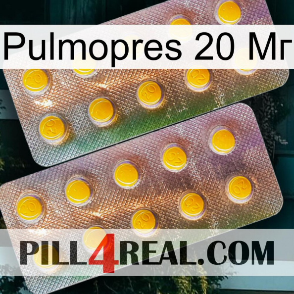 Pulmopres 20 Мг new10.jpg